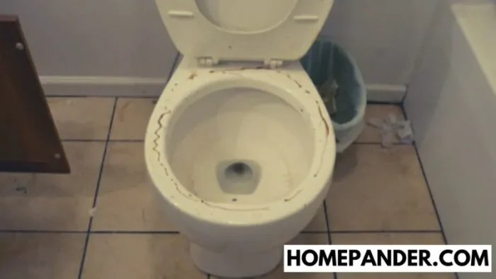 How to Clean A Rusty Toilet