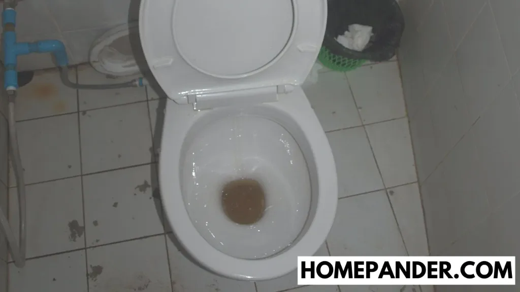 how-to-prevent-black-ring-in-toilet-5-proven-steps-homepander