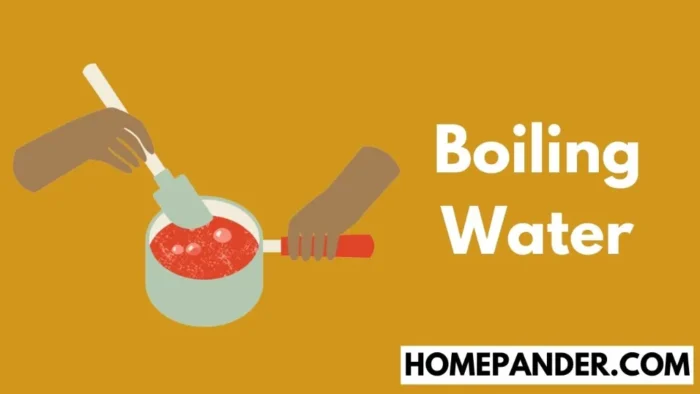 boil water to shower brushes