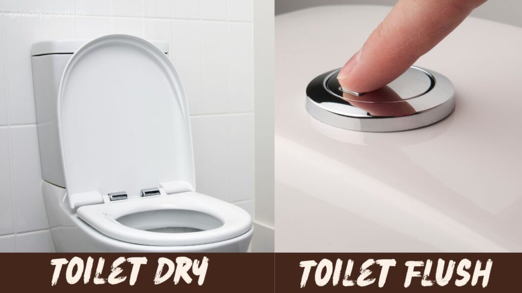 dry flush toilet