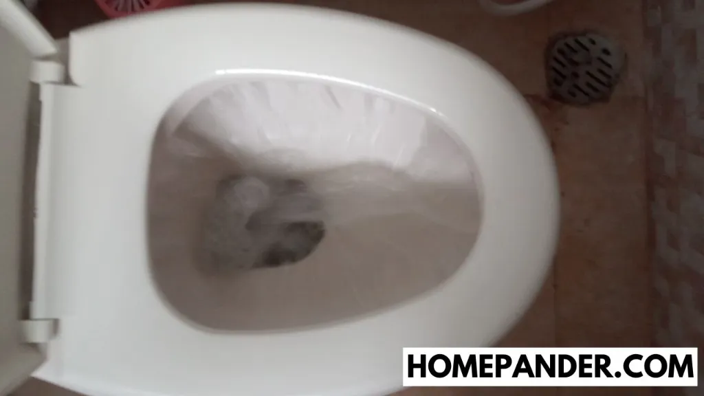 hard water line in toilet bowl