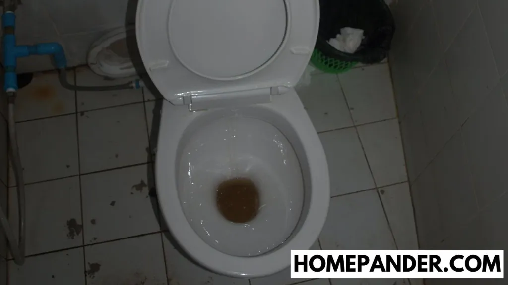 rusty water in toilet bowl