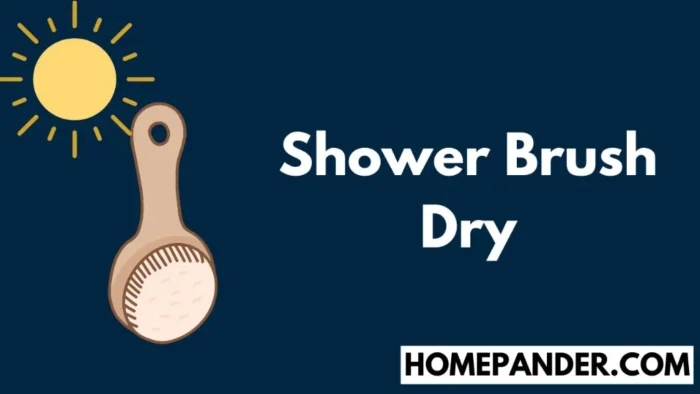 shower brush dry