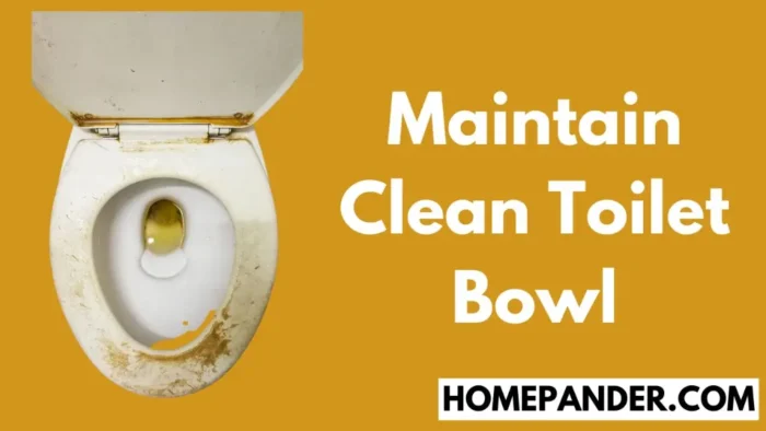 Maintain Clean Toilet Bowl