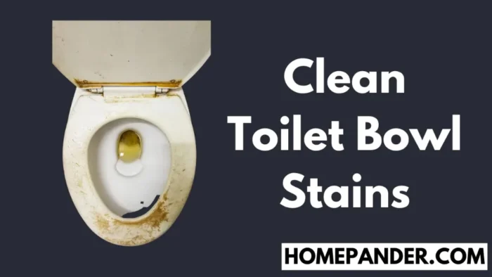 clean toilet bowl stains