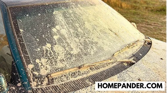 how to stop dust sticking to car