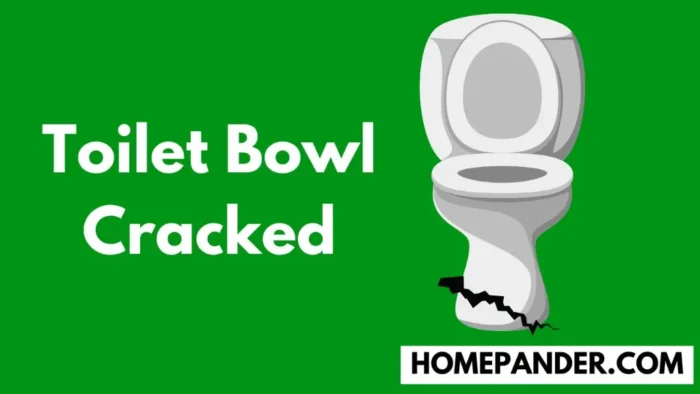 toilet bowl crack