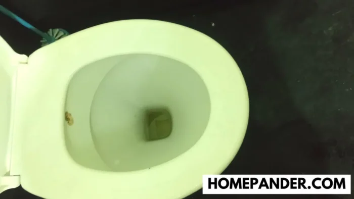 Homemade Toilet Bowl Cleaner 