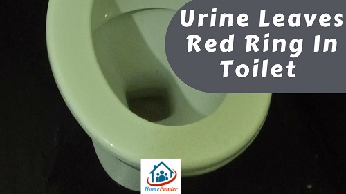 Urine Leaves Red Ring In Toilet: 2 Proven Reasons