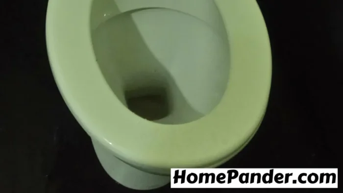 Urine Leaves Red Ring In Toilet 