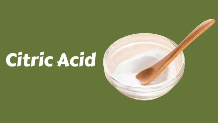 Homemade Toilet Bowl Cleaner with Citric Acid