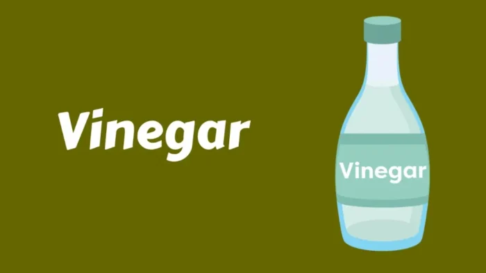 Homemade Toilet Bowl Cleaner with Vinegar