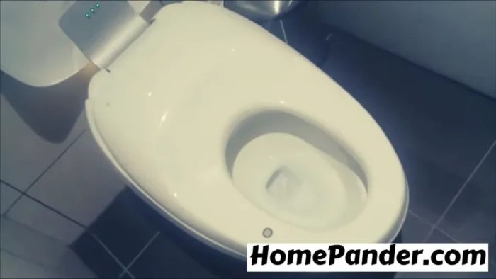 How To Clean A Toto Toilet