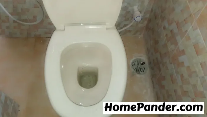 How to Fix a Toilet That Wont Stop Running