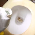 How to Remove Mineral Buildup from Your Toilet Bowl