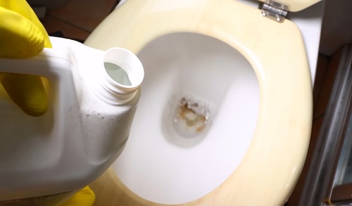 how-to-remove-mineral-buildup-from-your-toilet-bowl