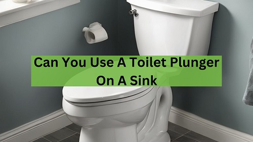 Can You Use A Toilet Plunger On A Sink?