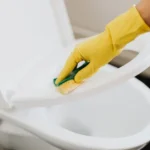 Kohler Santa Rosa Toilet Seat Replacement